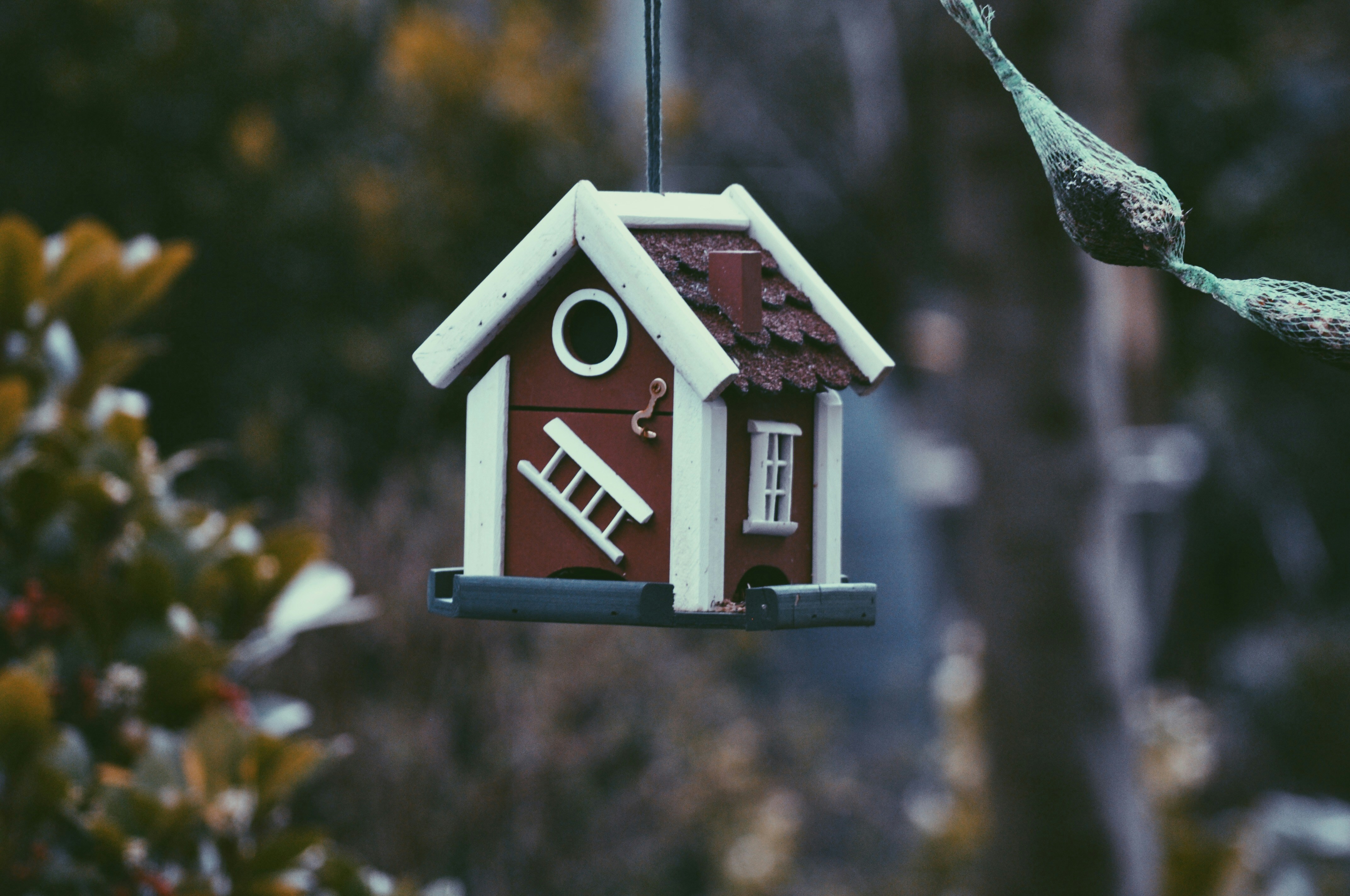 Home insurance protection for houses in Irving TX